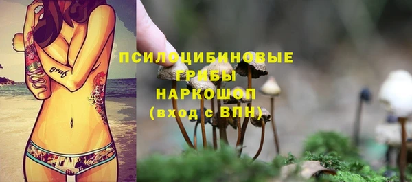 MDMA Протвино