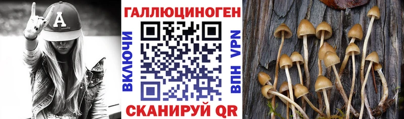 Галлюциногенные грибы Magic Shrooms  Североморск 